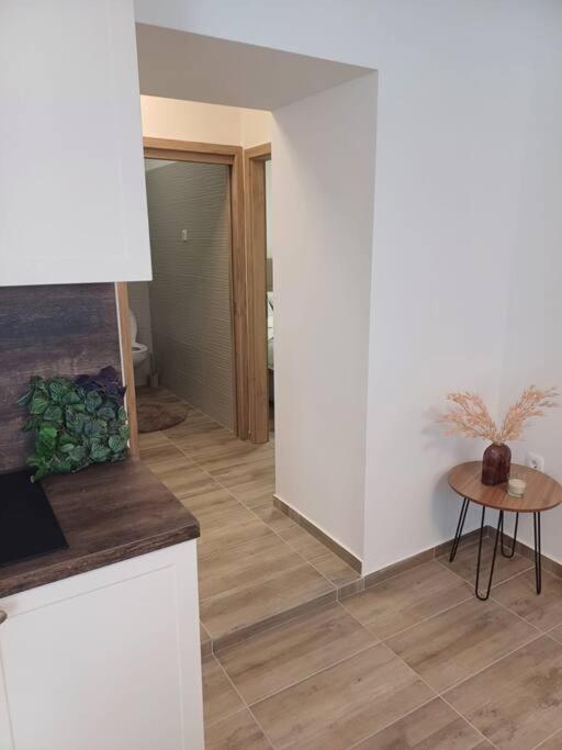 Central Vita Apartment Rijeka Dış mekan fotoğraf